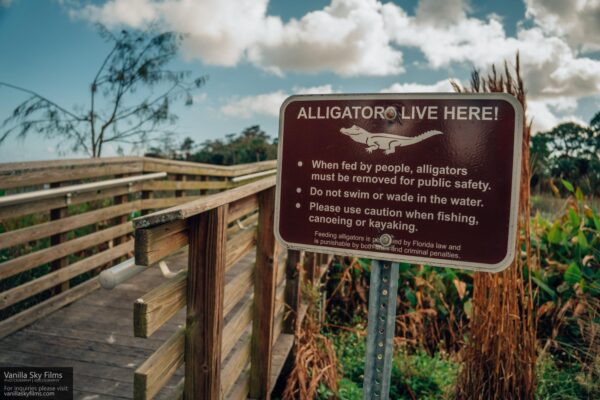 Winding waters alligator warning sign