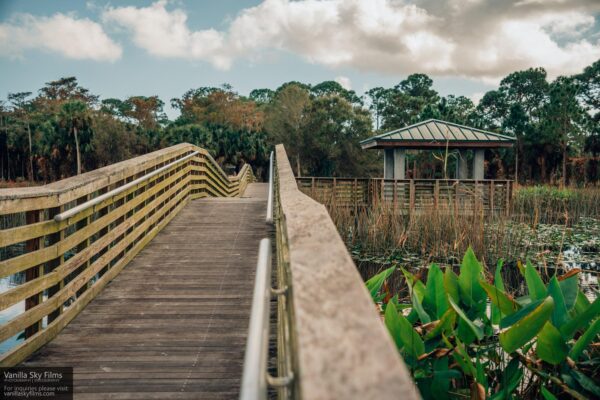 Winding waters bridge and observation platform