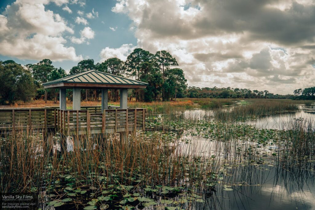 Winding waters Observation Platform